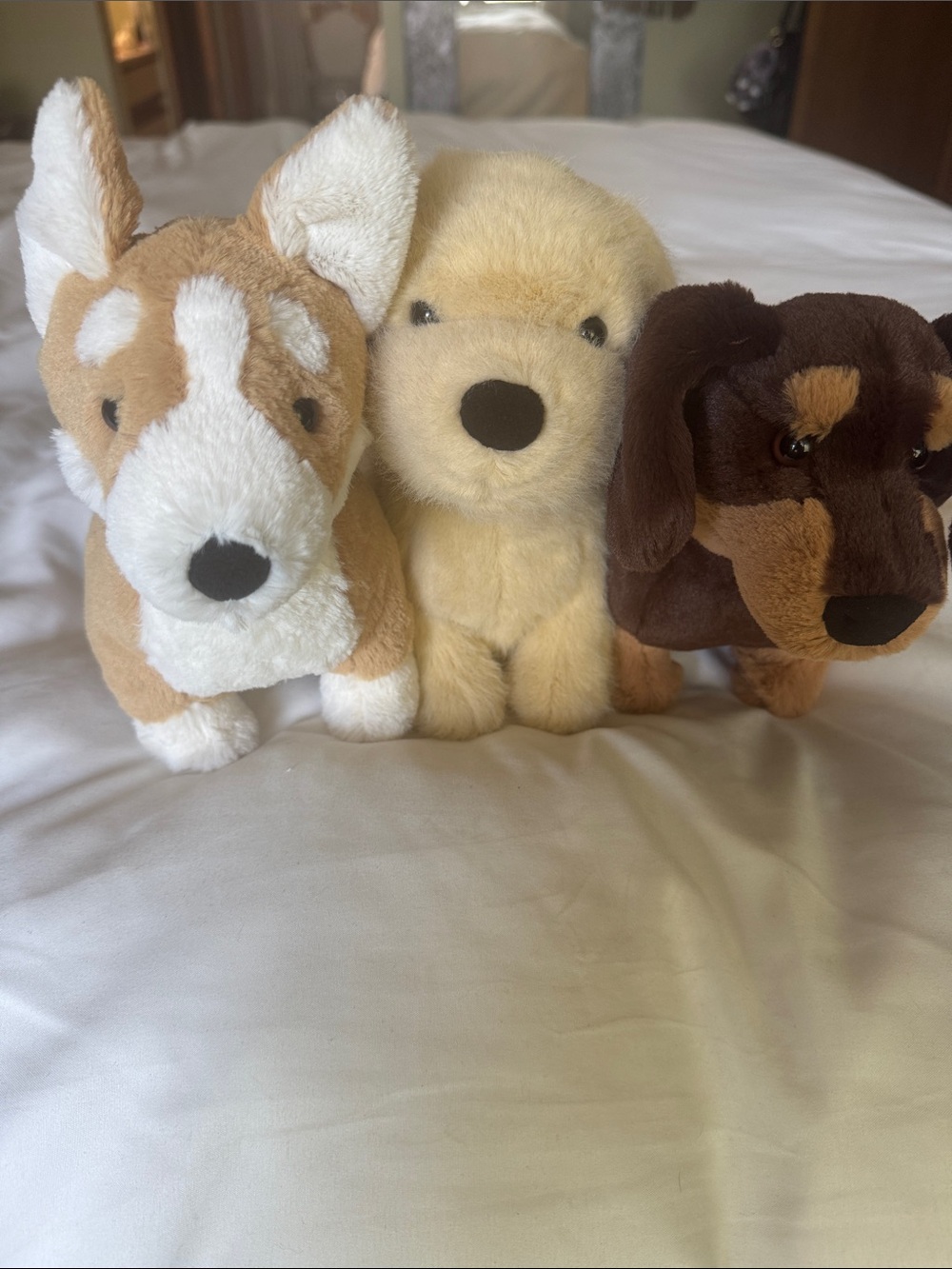 Jellycat Dog Trio; corgi, golden pup, sausage dog